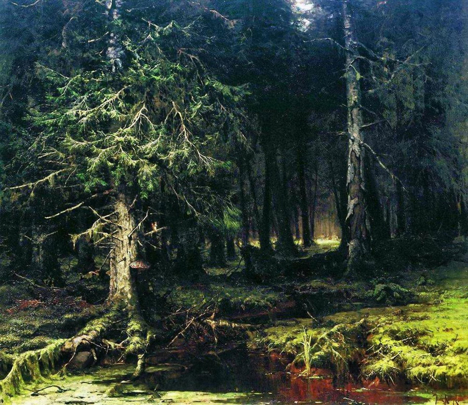 virgin forest